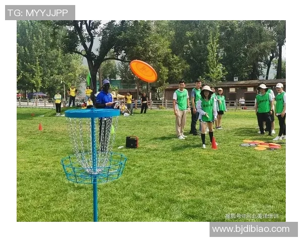 杭州飞盘队团队协作的独特优势与其他队伍的深度对比分析