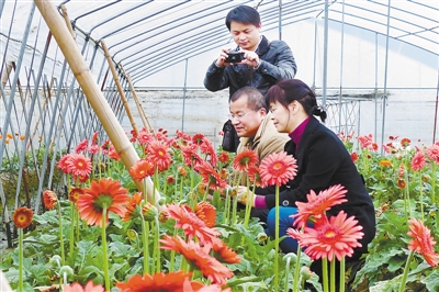 福建:2012年龙岩市花卉 绿化苗木种植面积居全省第二